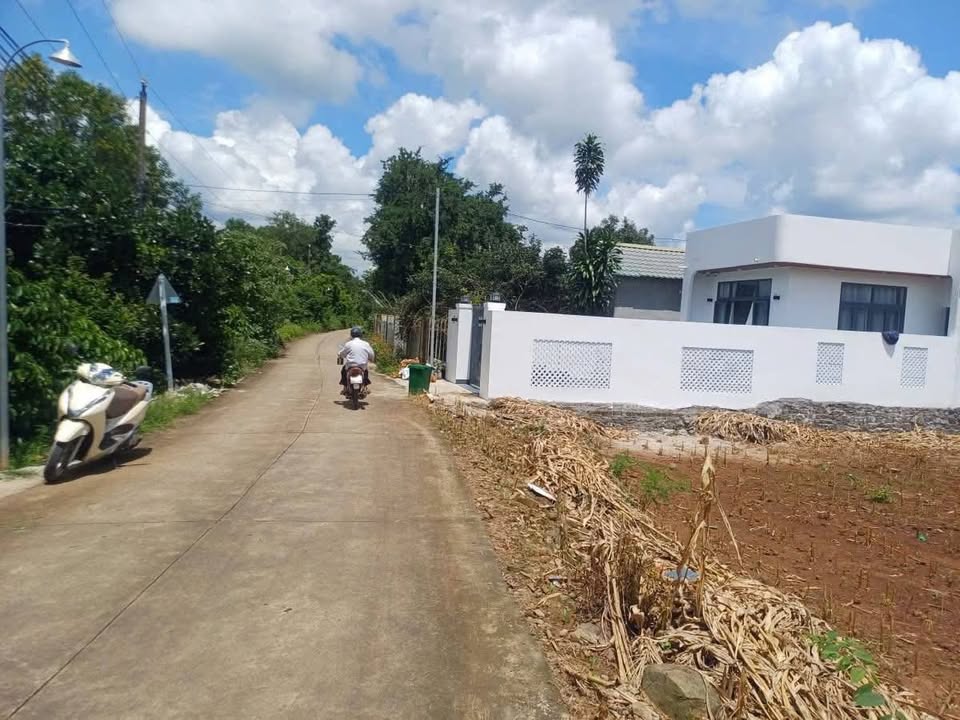 Đất nền Phú Tân, Định Quán 220m² giá 530 triệu - Đầu tư sinh lời ngay!