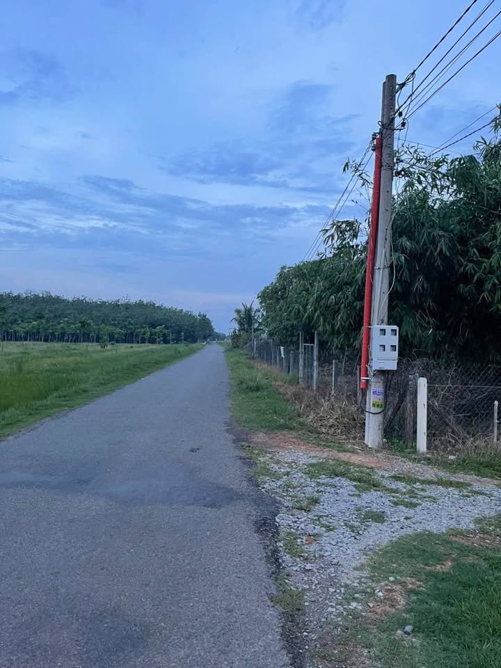 Lô đất thổ cư 713m² tại xã Truông Mít, Tây Ninh - 2 mặt tiền, giá đầu tư cực tốt!