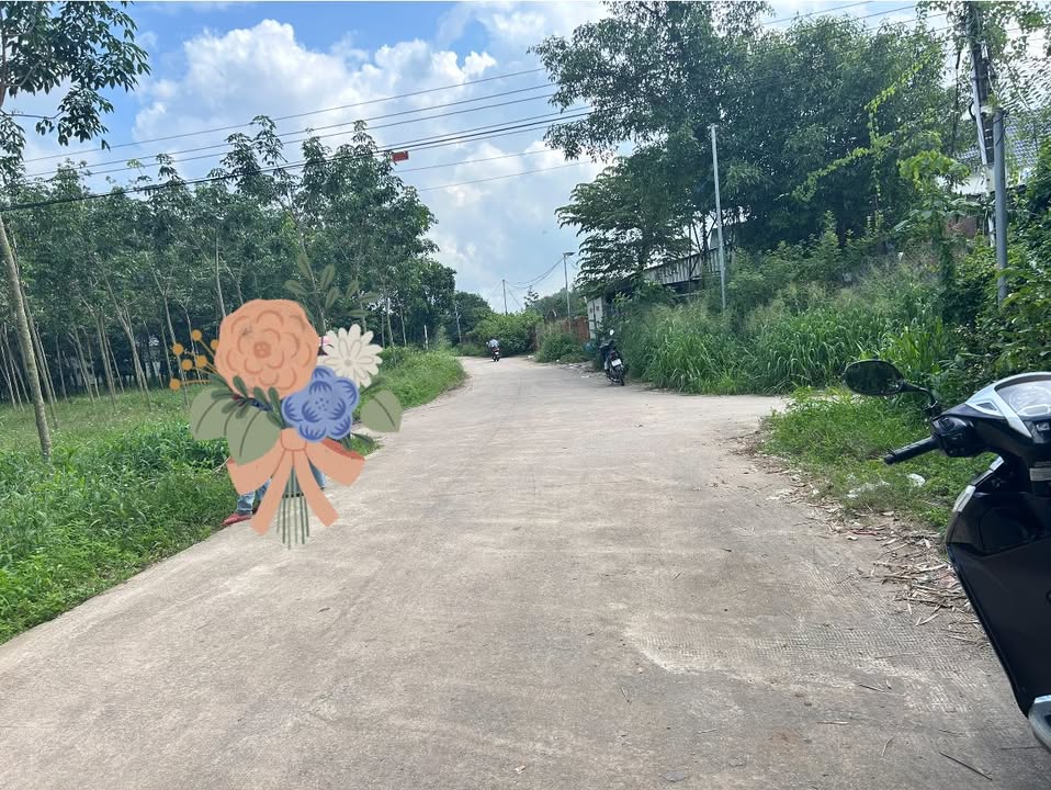 Đất nền Phước Hòa, Phú Giáo 175m² giá chỉ 765 triệu - Đầu tư sinh lời ngay!