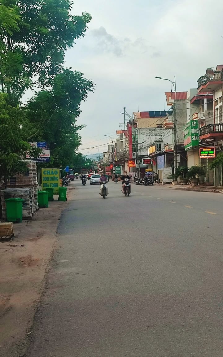 Đất kinh doanh đường TL 295, Lục Nam 80m² giá 3 tỷ - Gần chợ Tam Dị!