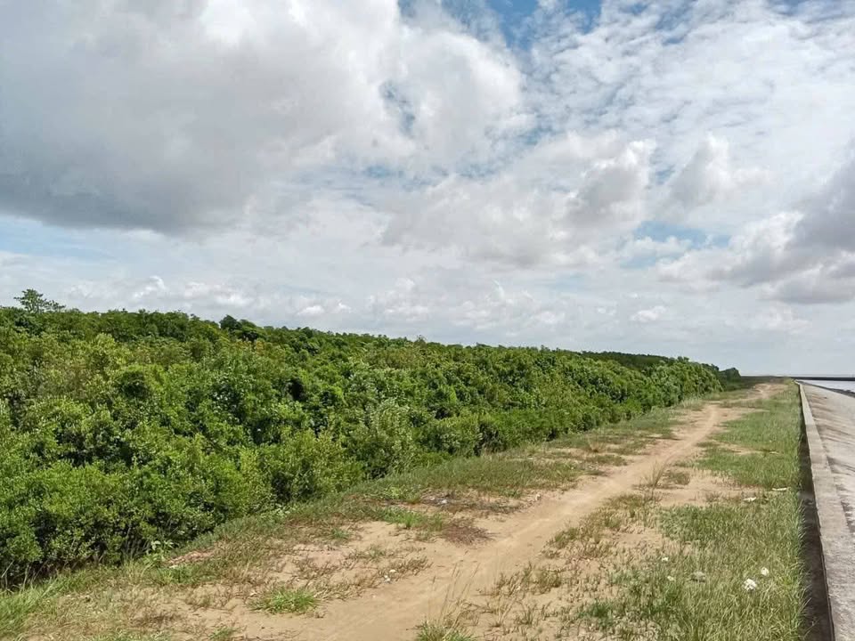 Farm 130.000m² mặt tiền đường Đê Biển, Vĩnh Phước, Sóc Trăng - Giá chỉ 13 tỷ!