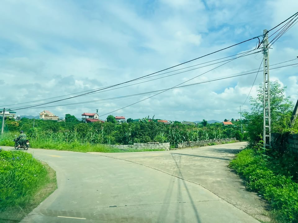 Lô đất Mịn Con, Lục Ngạn 190m² giá chỉ 600 triệu - Cơ hội đầu tư hấp dẫn!