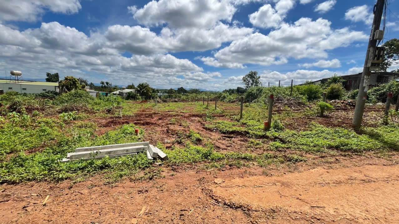 Bán đất hẻm chính Bùi Đình Túy, Bình Thạnh 150m² - Khu dân cư hiện hữu, an ninh!