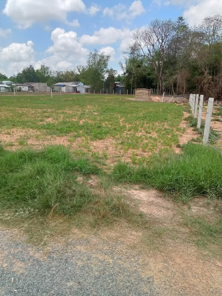 Đất mặt tiền đường nhựa 480m² tại ấp Ô Răng, Trà Vinh - Giá chỉ 240 triệu!