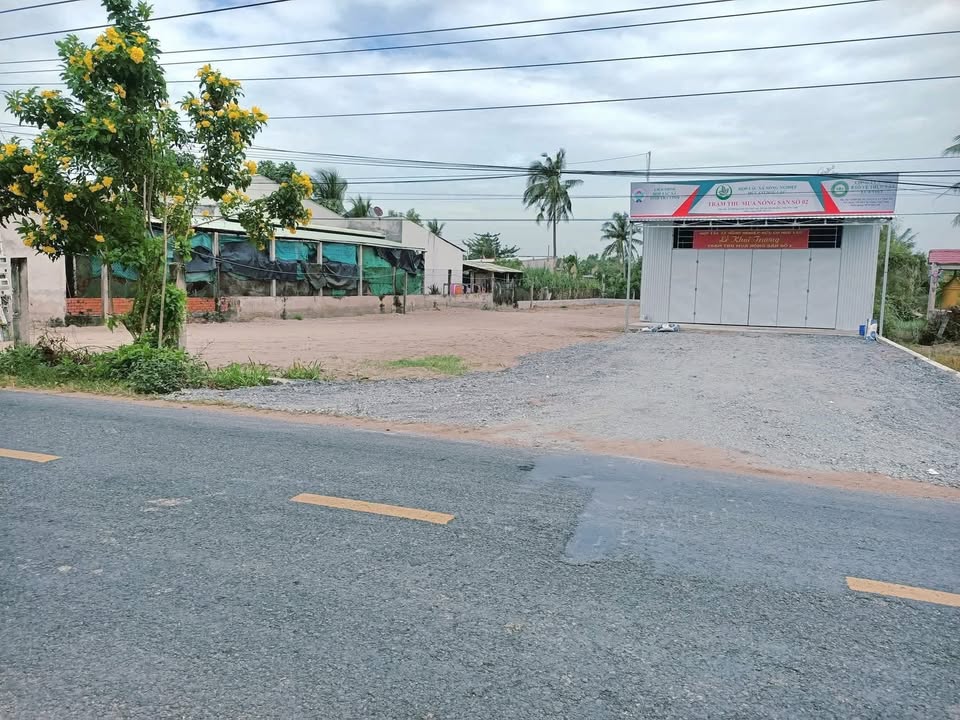 Đất thổ cư 300m² Xã Ngũ Lạc, Trà Vinh giá chỉ 900 triệu - Đầu tư sinh lời ngay!