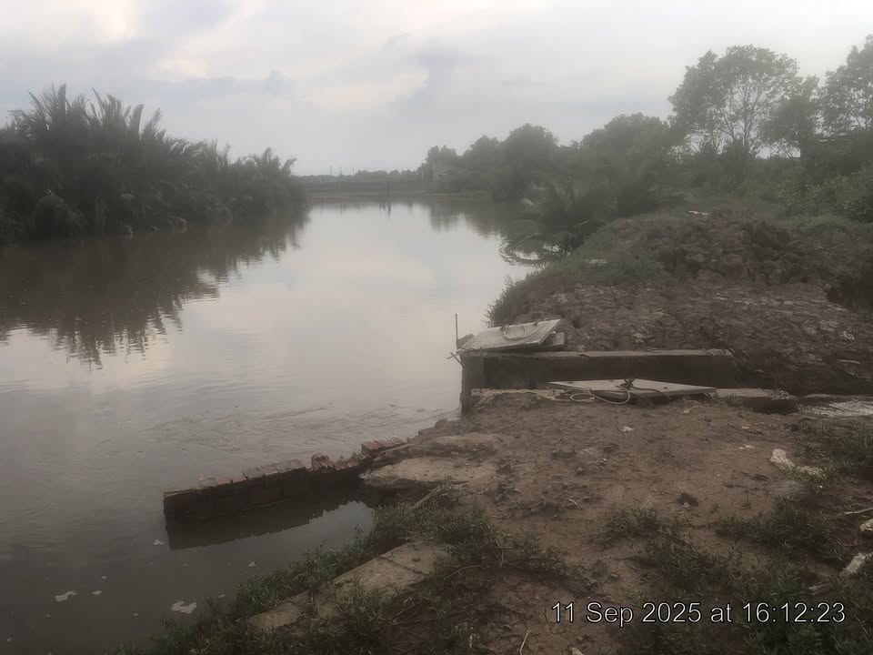 Đất cho thuê 40 công tại xã Trường Long Hoà, Trà Vinh - Giá 100 triệu/năm