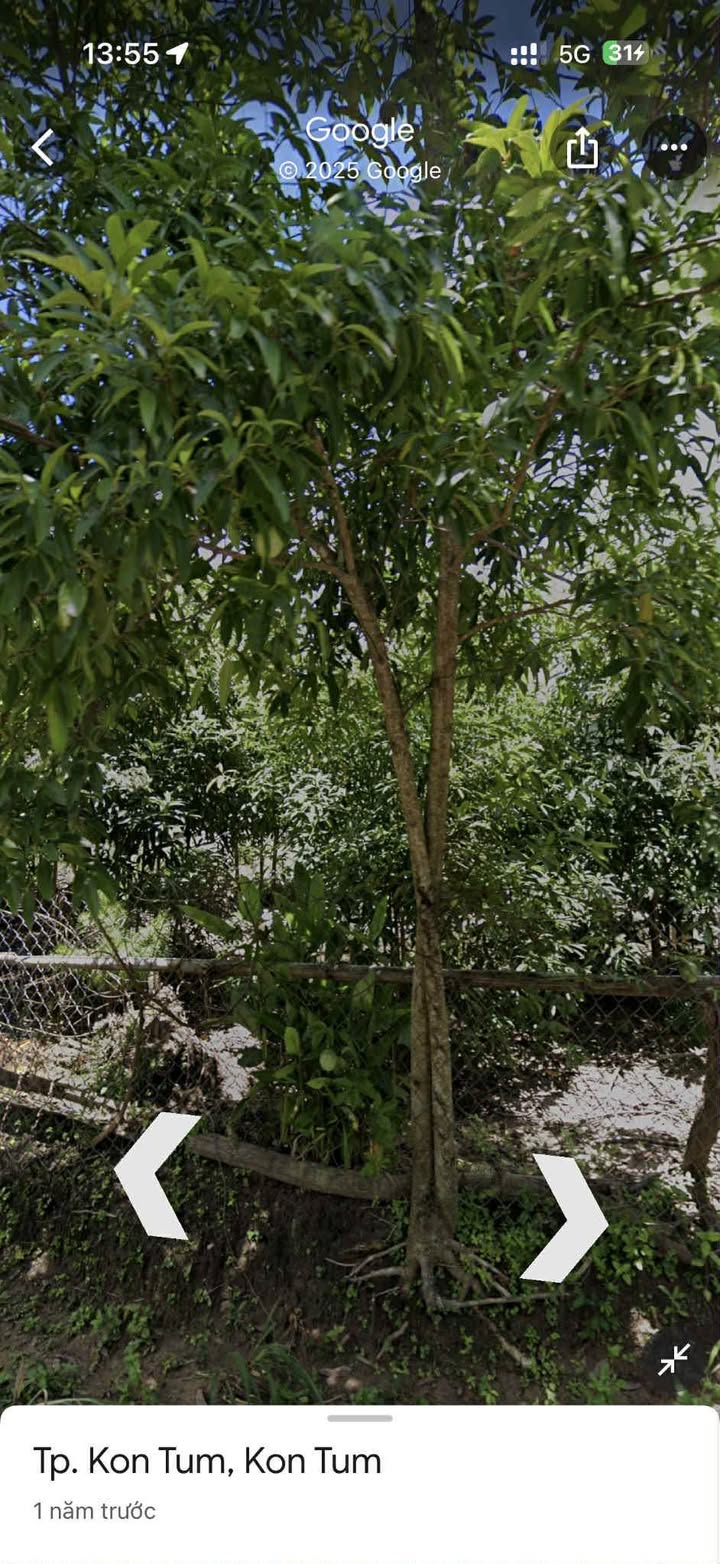 Đất thổ cư Thôn 1, xã Hoà Bình, TP Kon Tum 144m² - Chính chủ cần bán gấp!