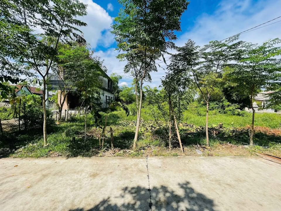 Lô đất mặt tiền Ngô Thế Vinh, Thủy Phương, Hương Thủy 655m² giá 3.93 tỷ - Đầu tư sinh lời hấp dẫn!