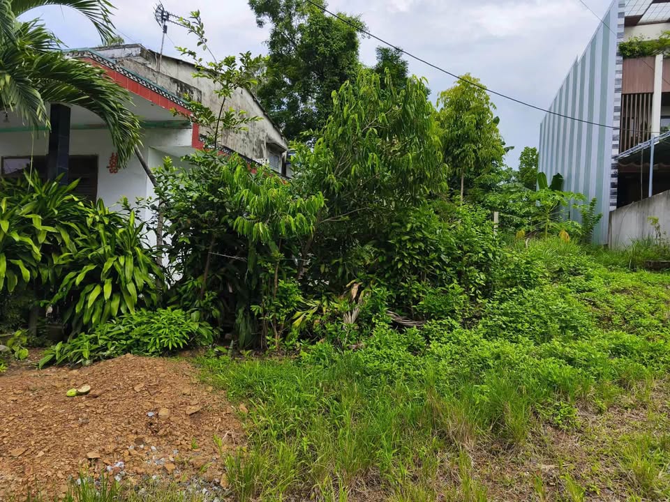 Đất ở Hòa Nhơn, Đà Nẵng 144m² giá 1 tỷ - Đường nhựa 3.5m, gần chợ, trường học!