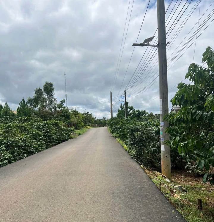 Đất nền phường Lộc Phát, Bảo Lộc 3600m² giá 1.75 tỷ - Đầu tư sinh lời ngay!