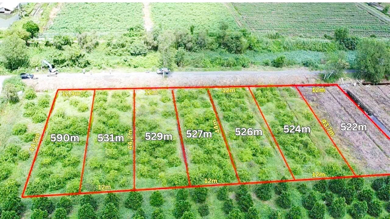 Đất vườn 531m² tại Tân Thành, Thủ Thừa, Long An - Chỉ 450 triệu/lô!