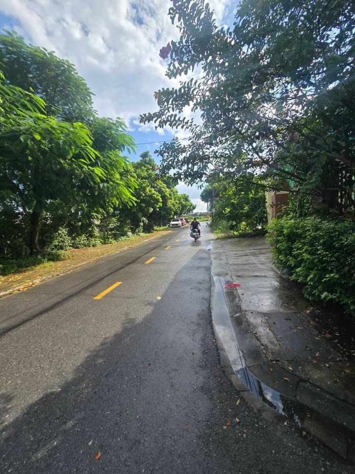 Đất nền Hồng Bàng 75,6m² giá 1,55 tỷ - Tiềm năng tăng giá cao!