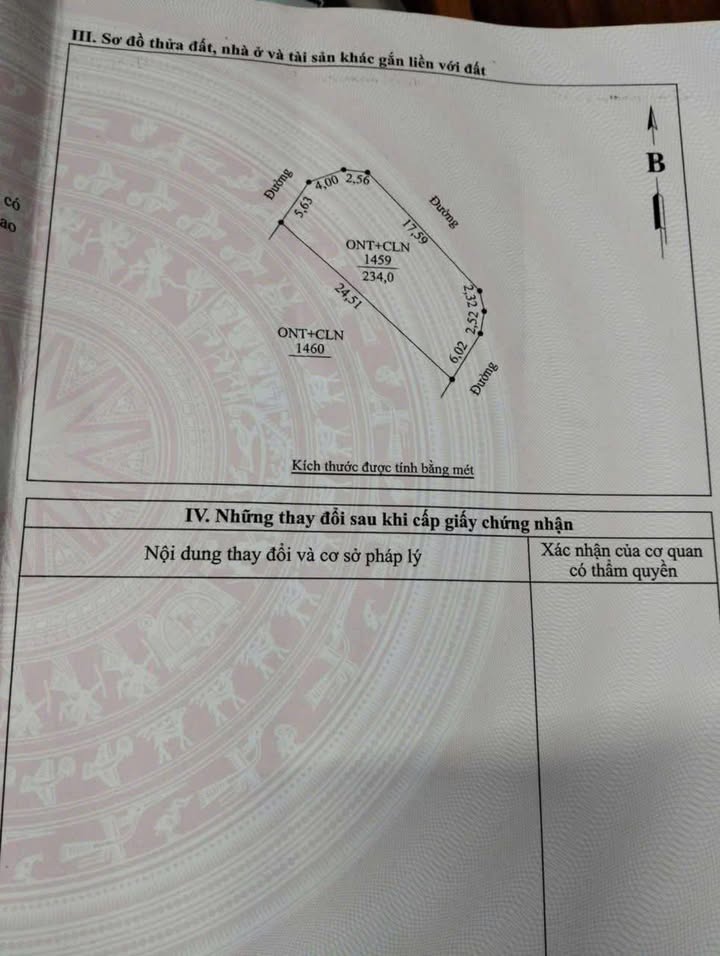 Lô đất 234m² Xóm Thanh Đầm, Kim Liên, 1.6 tỷ - Cơ hội đầu tư hấp dẫn!