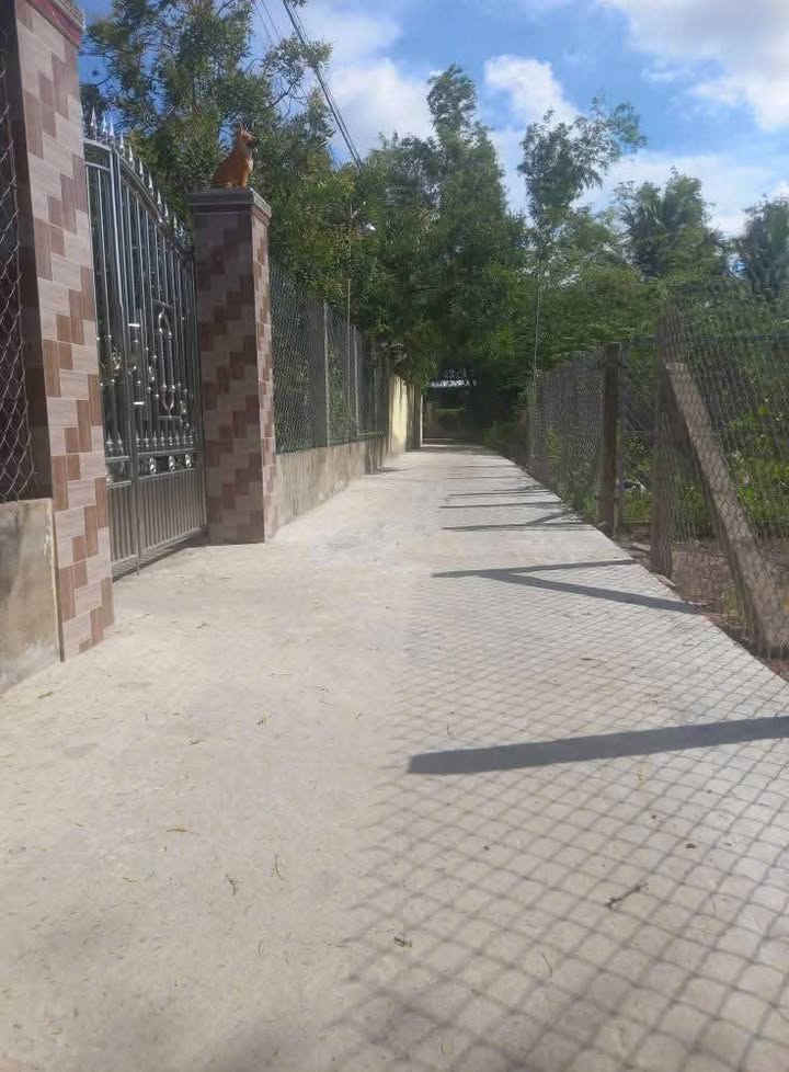 Đất thổ cư 144m² tại ấp Quý Chánh, Cai Lậy - Chính chủ bán giá 350 triệu!