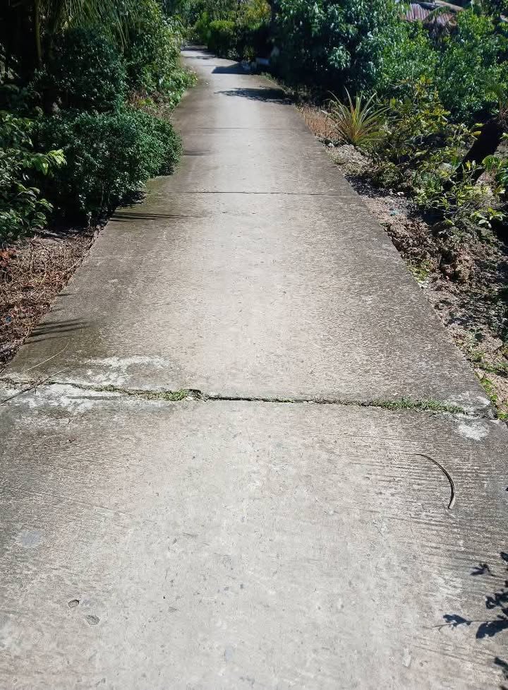 Đất Thổ Cư Hậu Thành, Cái Bè 130m² giá 350 triệu - Nở hậu 5.5m, Sổ đỏ chính chủ!