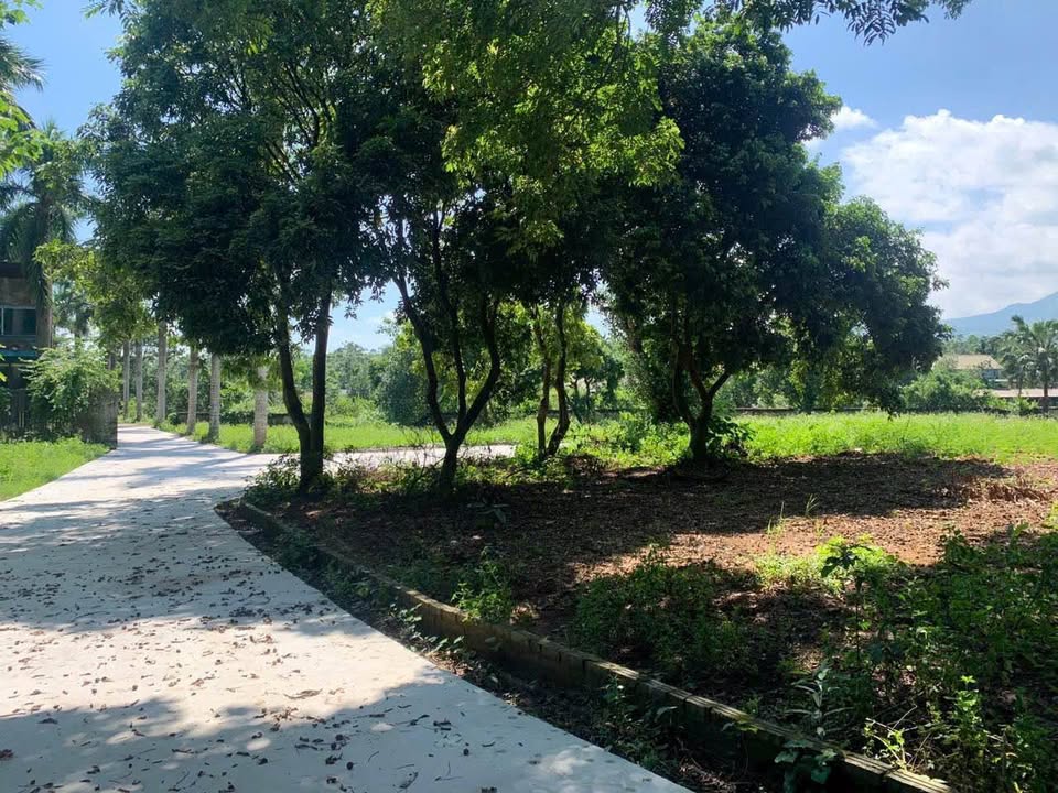 Đất nền 1410m² tại Nhuận Trạch, Lương Sơn - Sổ đỏ chính chủ, giá thỏa thuận!