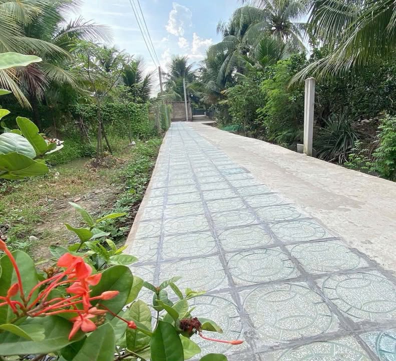 Đất thổ cư 329m² tại Chợ Gạo - Giá chỉ 779 triệu - Đầu tư lý tưởng!