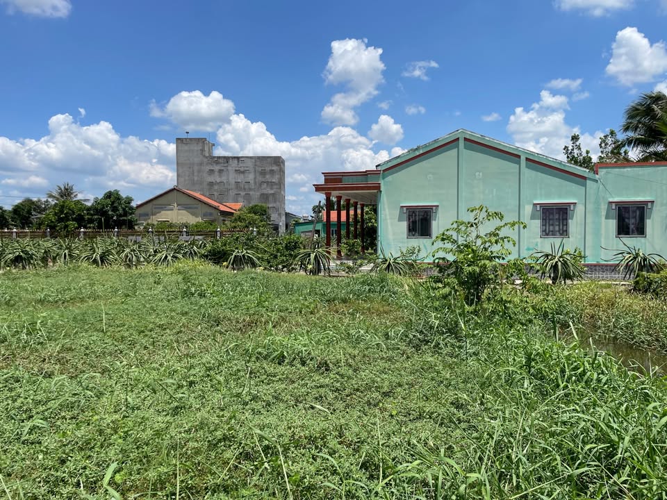 Bán đất mặt tiền xe hơi Ấp Ninh Đồng 915m² giá 1.078 tỷ - Gần sông Trà lý tưởng nghỉ dưỡng!