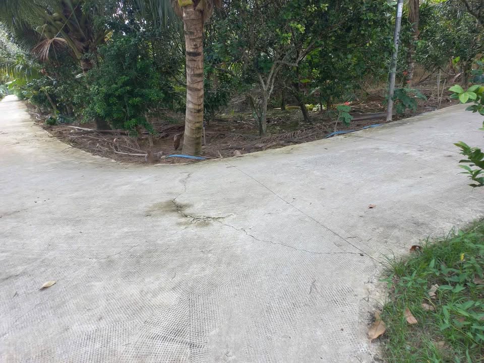 Đất vườn 2 mặt tiền Thới Sơn 1500m² giá 4.2 tỷ - Đầu tư sinh lời!