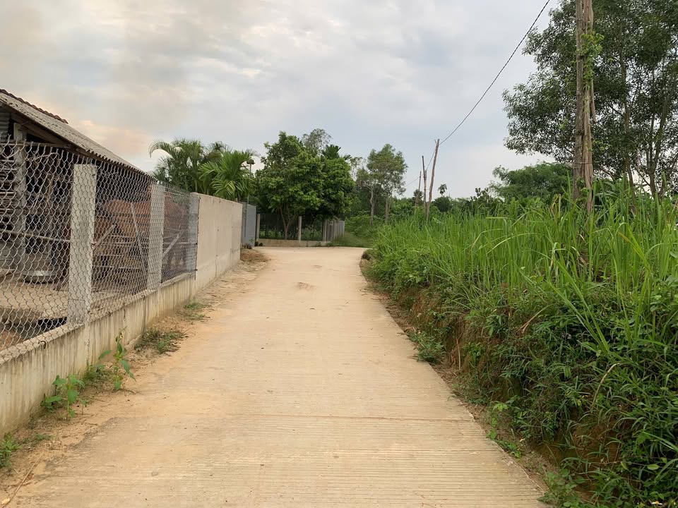 Đất vườn Phổ Nhơn 600m² giá 100 triệu - Đầu tư sinh lời ngay!