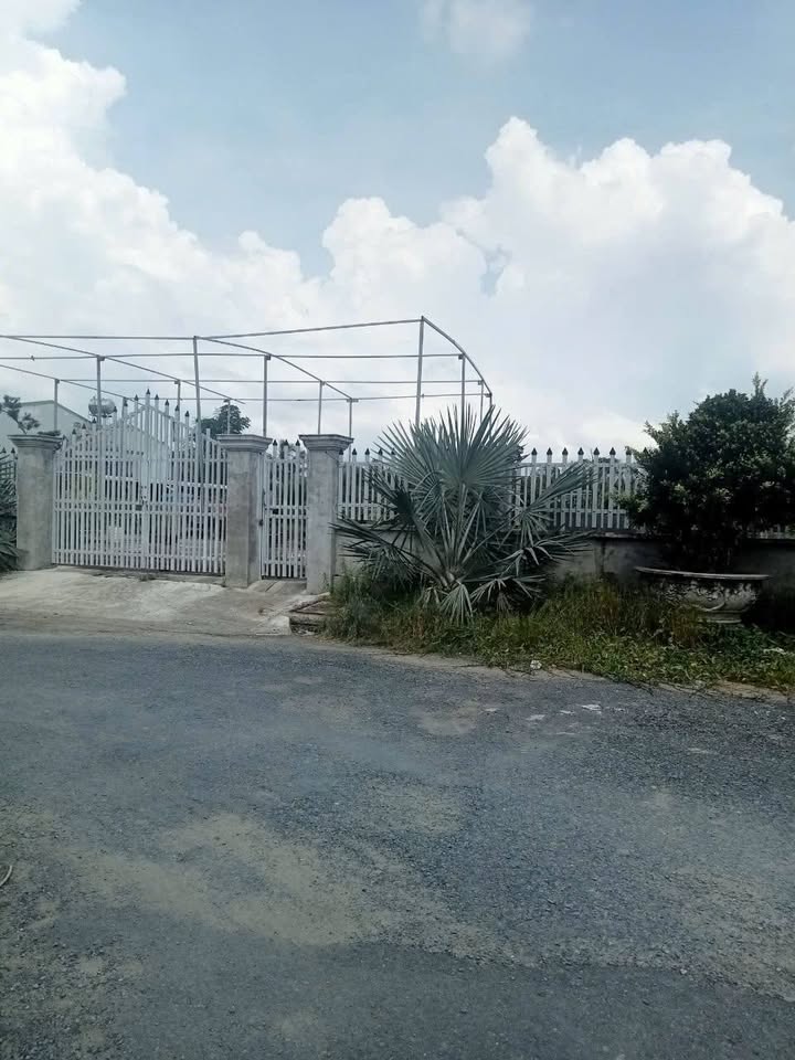 Đất thổ cư 999m² An Thới Đông, Cần Giờ - Giá chỉ 9 tỷ, pháp lý rõ ràng!