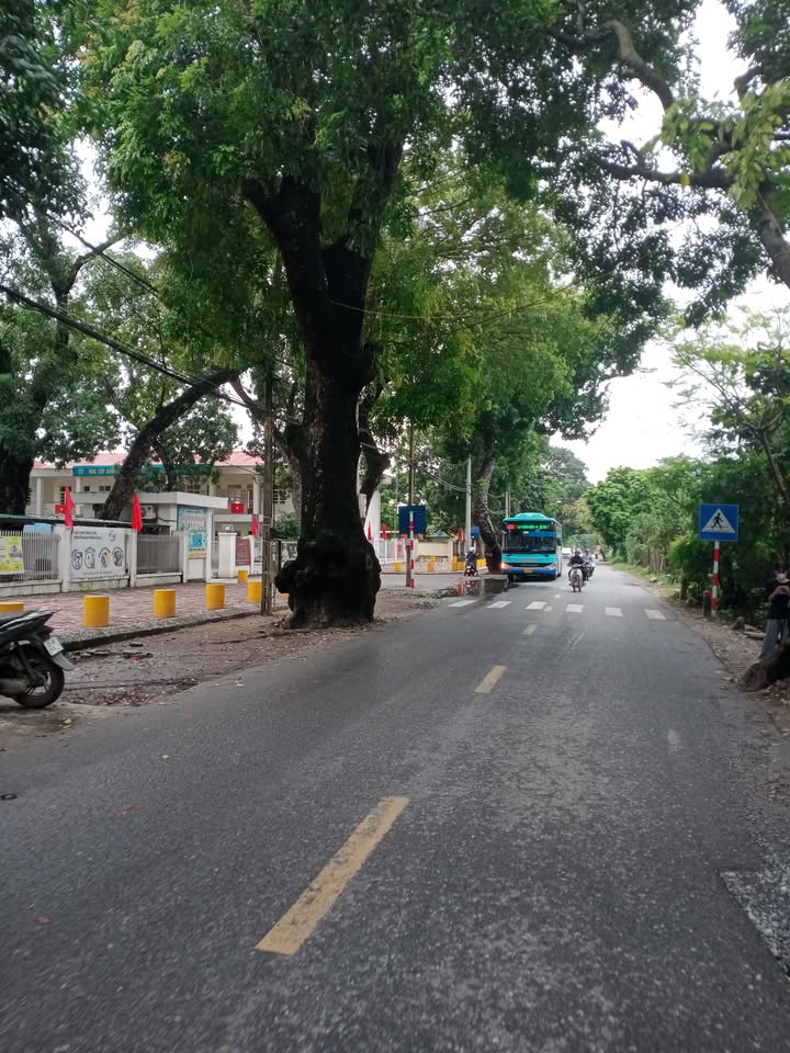 Nhà 3 tầng Dương Xá 142m² giá 8.52 tỷ - Đầu tư sinh lời ngay!