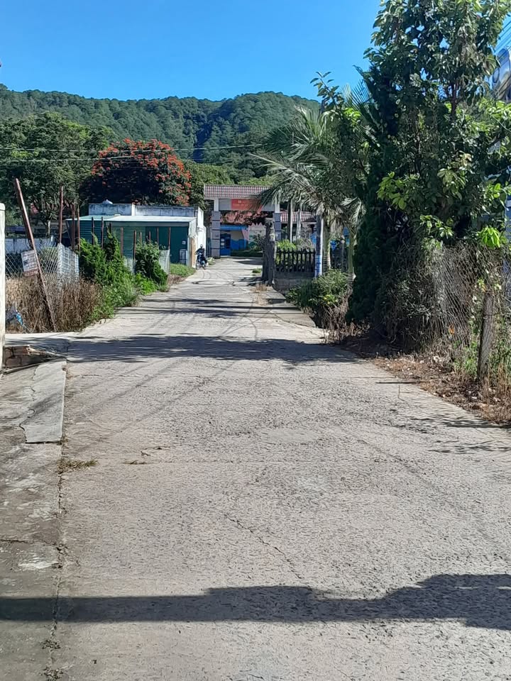 Đất thổ cư tại Lạc Lâm, Lạc Dương 125.94m² giá 900 triệu - Cơ hội đầu tư tuyệt vời!