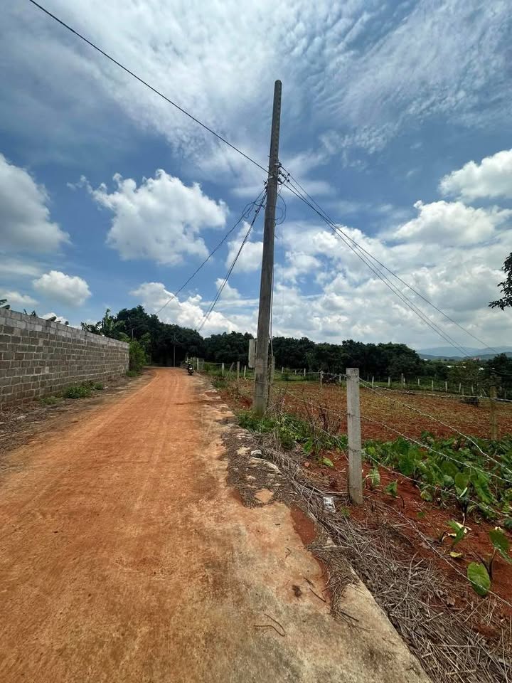 Đất nền Nam Ban Lâm Hà 511m² giá 1.5 tỷ - View đẹp, vị trí thuận lợi!