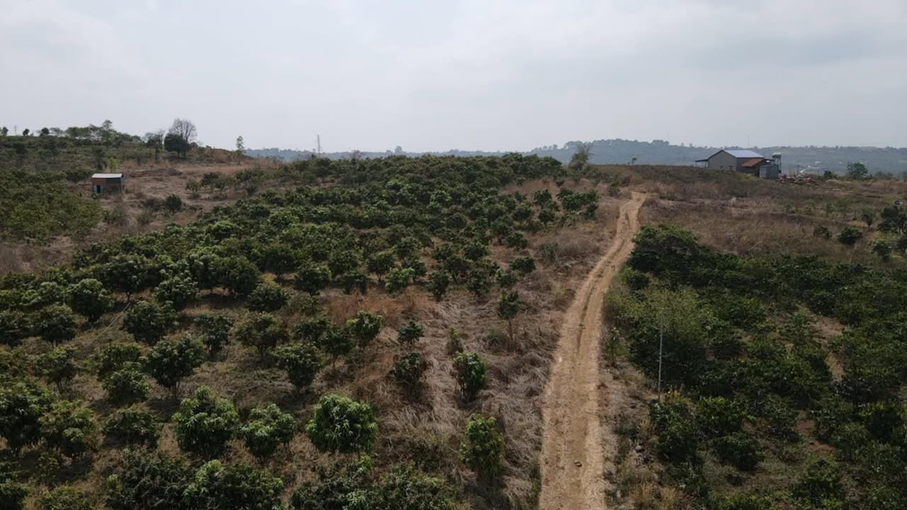 Đất nền thổ cư 360m² tại Đắk Mil chỉ 135 triệu - Cơ hội đầu tư sinh lời cao!