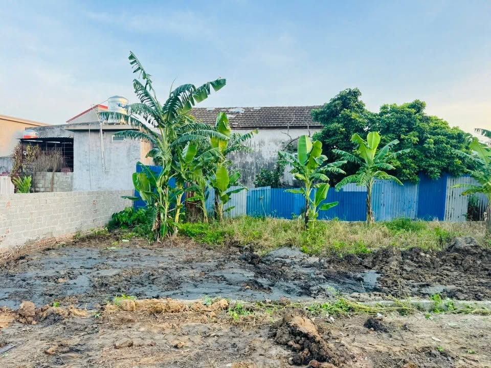 Đất thổ cư 100m² tại thôn Thống Nhất, Kiến Thụy - Giá chỉ 1.6 tỷ!