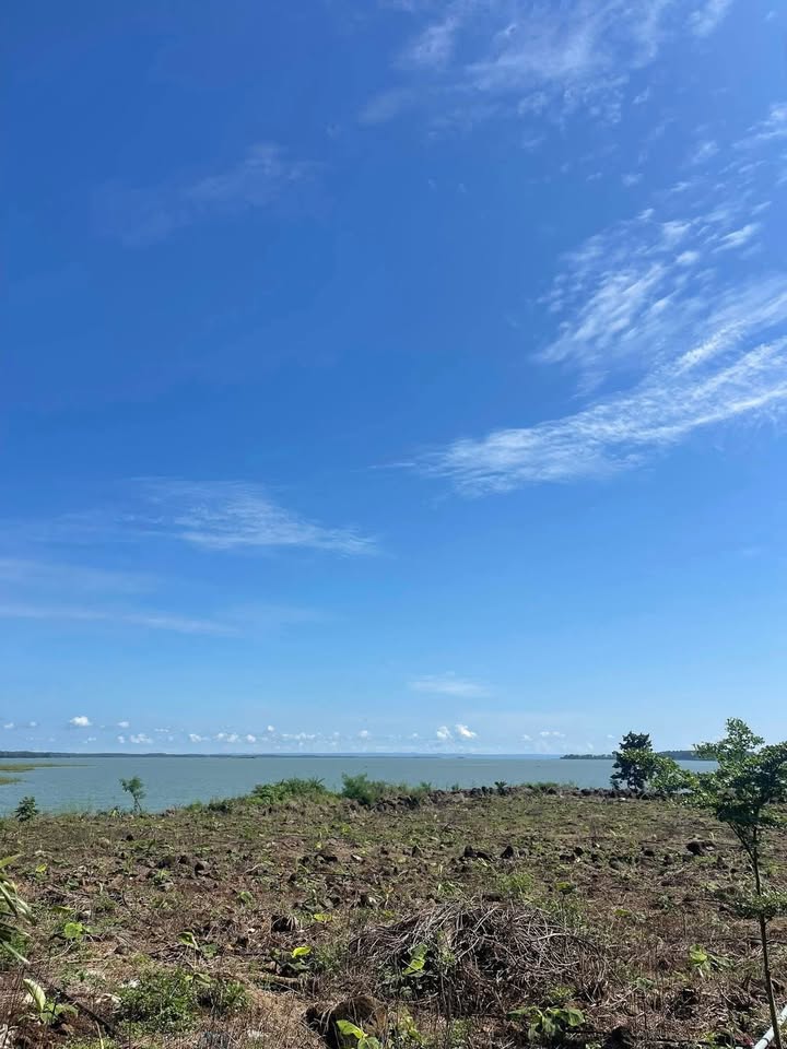 Đất nền mặt hồ 10.000m² tại Trấn Biên - Giá 30 tỷ thương lượng!