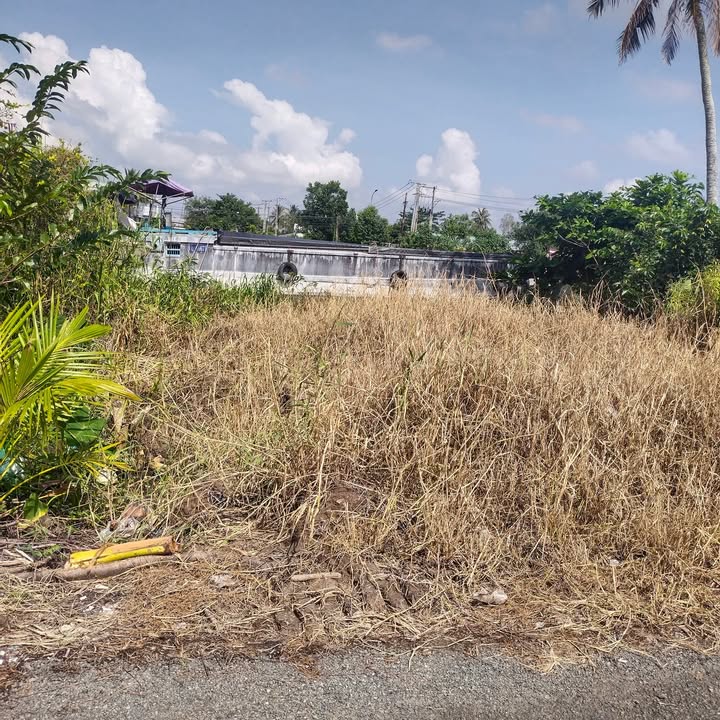 Đất nền Vĩnh Thuận Đông 243m² giá thỏa thuận - Vị trí đắc địa đối diện chợ Vịnh Chèo!