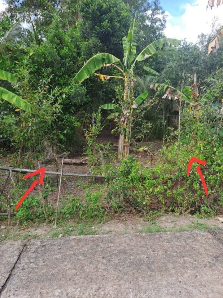 Đất nền 540m² xã Vị Thắng, huyện Vị Thủy - Giá chỉ 450 triệu, đầu tư sinh lời!