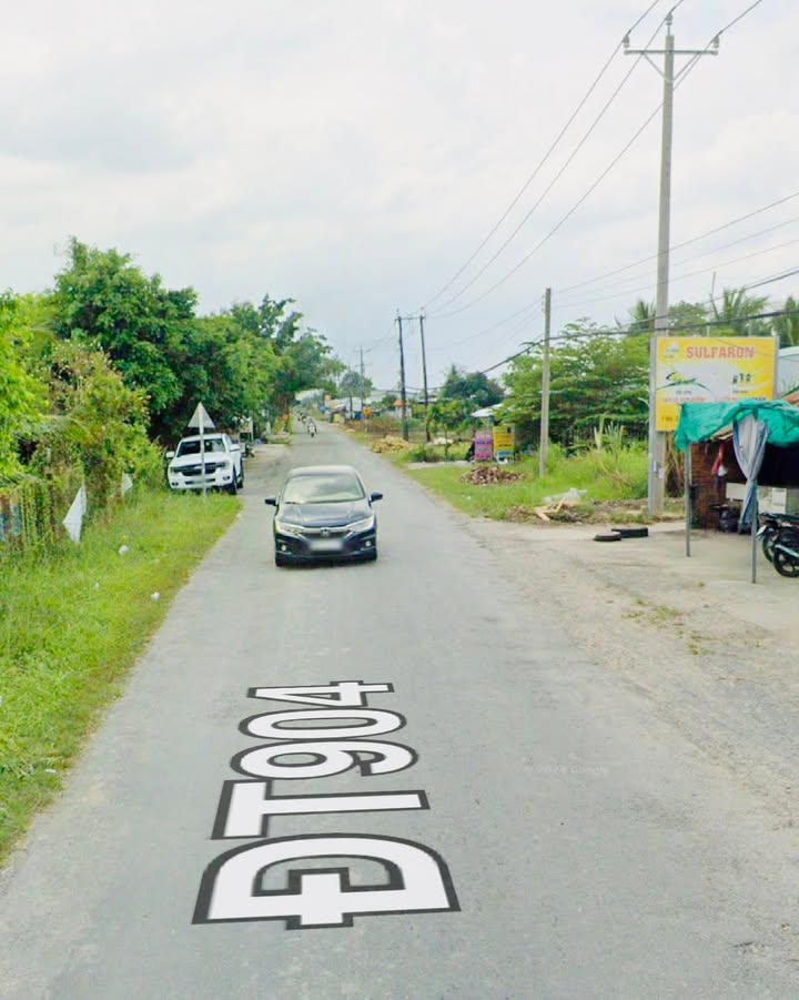 Đất nền Vĩnh Long 2356m² giá 2.356 tỷ - Pháp lý rõ ràng, có dừa trồng