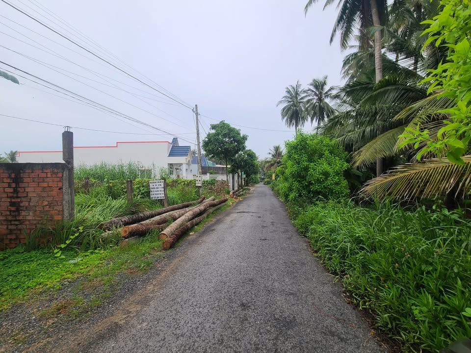 Nhà phố Hòa Định, Chợ Gạo, 301m² giá 1.3 tỷ - Đường nhựa, gần chợ