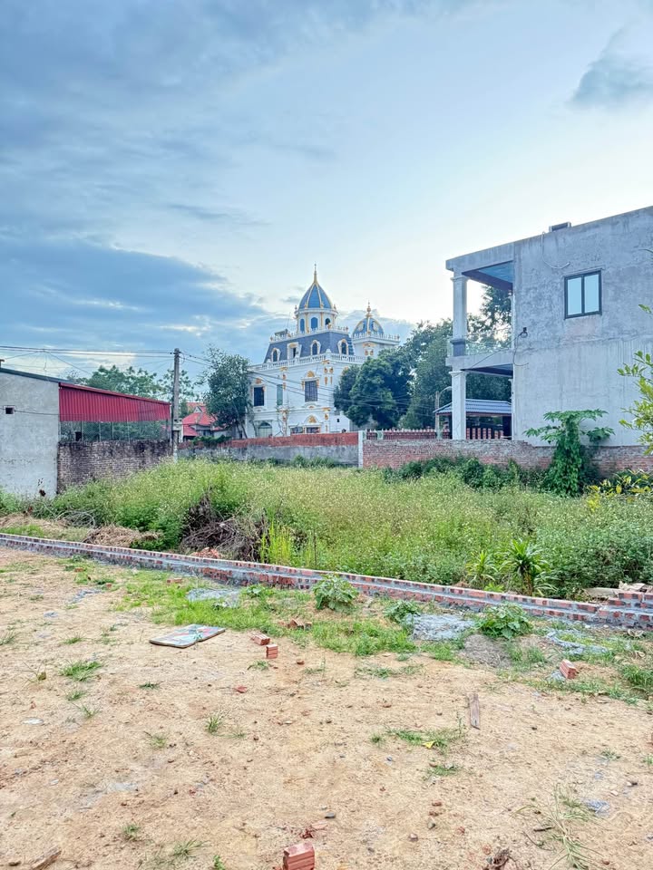 Đất thổ cư 105m² tại Minh Trí - Sóc Sơn, giá 1.995 tỷ - Đầu tư sinh lời cực tốt!