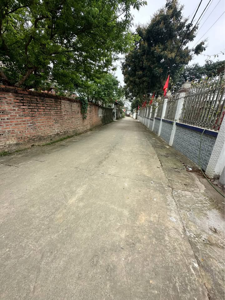 Đất nền Cố Đụng, Tiến Xuân, Thạch Thất 312m² - Sổ đỏ chính chủ, giá thỏa thuận!