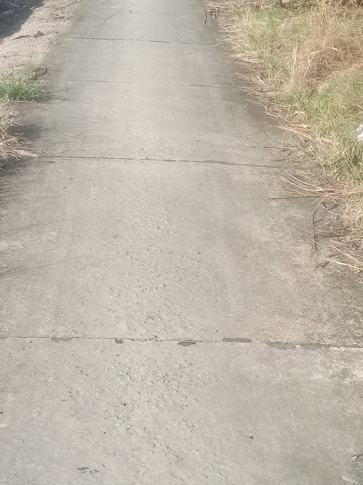 Đất farm 29.900m² xã Ninh Thạnh Lợi, Hồng Dân - Giá chỉ 140 triệu/công