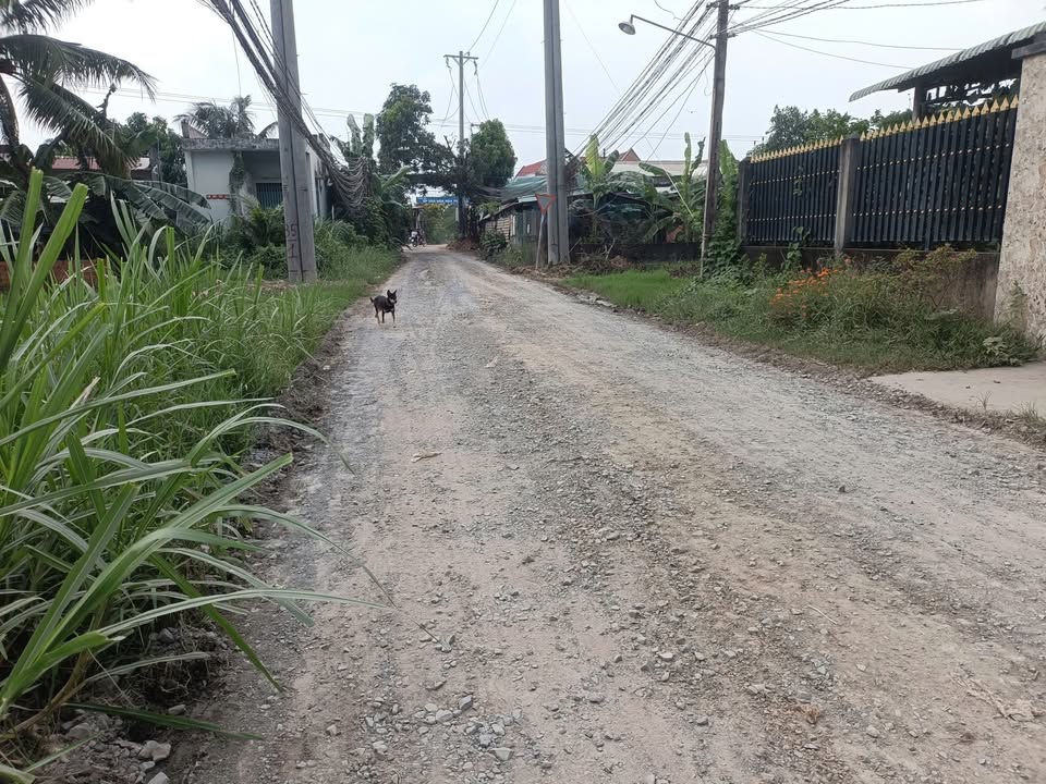 Đất nền Hiệp Hòa, Đức Hòa 360m² giá 1.55 tỷ - Sổ đỏ chính chủ!