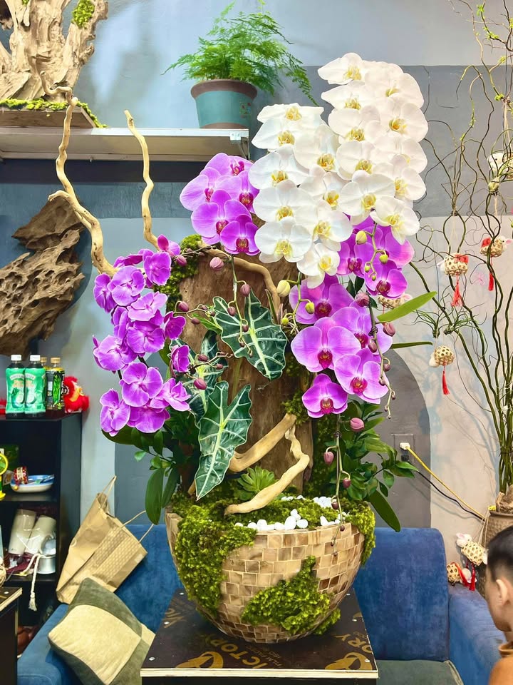 Đất nền Thái Thụy 135m² giá thỏa thuận - Vị trí đắc địa ngay mặt đường Quốc lộ 37B!