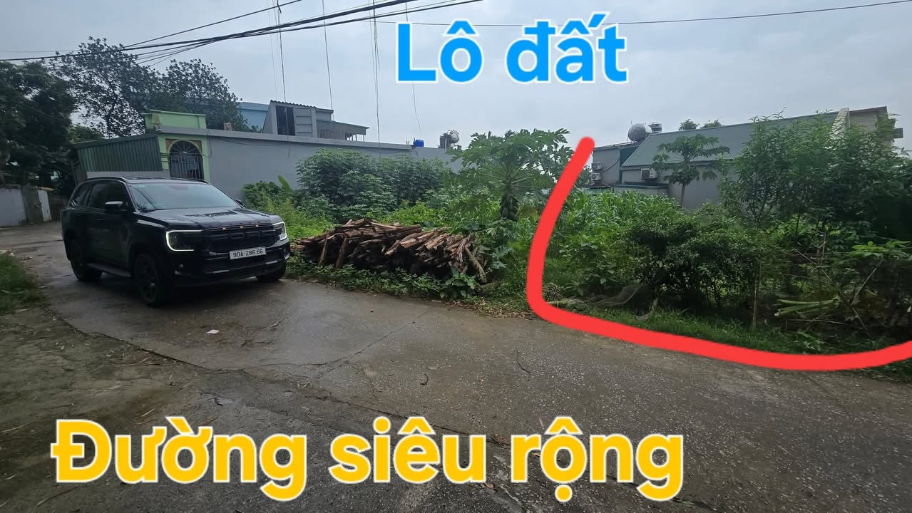 Đất thổ cư Tân Thanh 206m² giá 1 tỷ - Vị trí trung tâm cực đẹp!