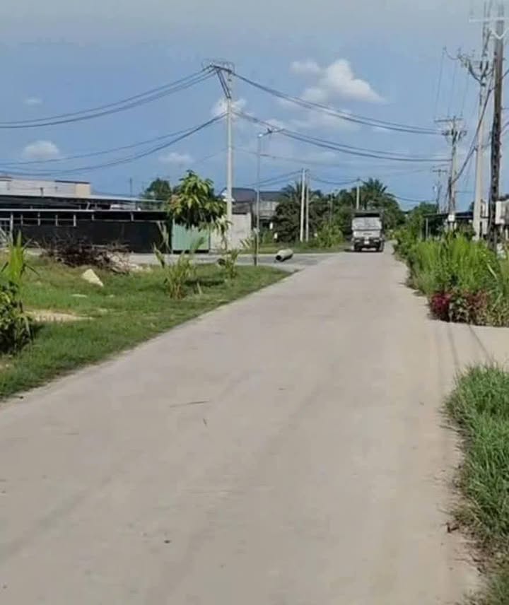 Đất thổ cư 175m² mặt tiền bê tông xã Mỹ Hạnh giá 1.18 tỷ - Cần bán gấp!