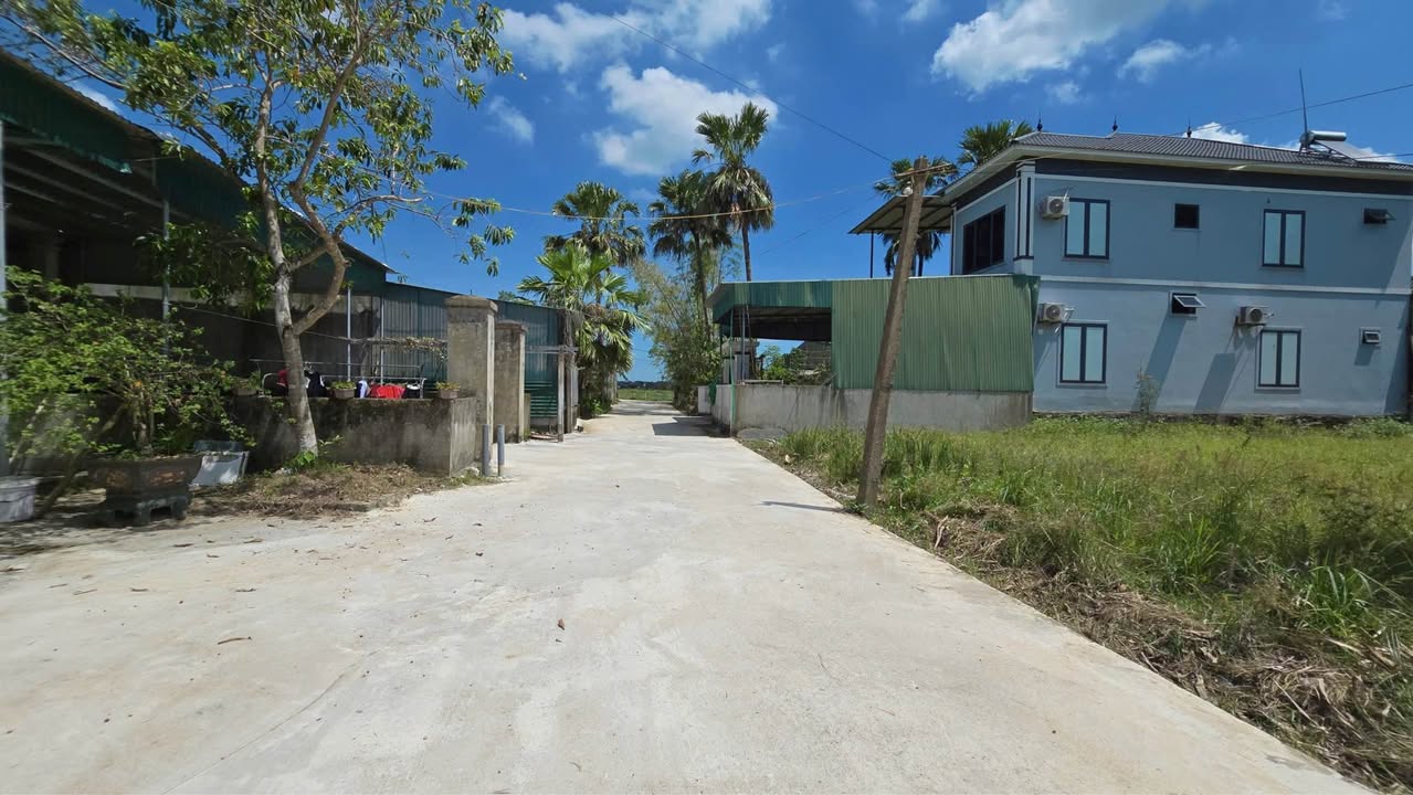 Đất Tân Lâm Hương 175m² giá 1.4 tỷ - Cơ hội an cư lý tưởng cho gia đình trẻ!