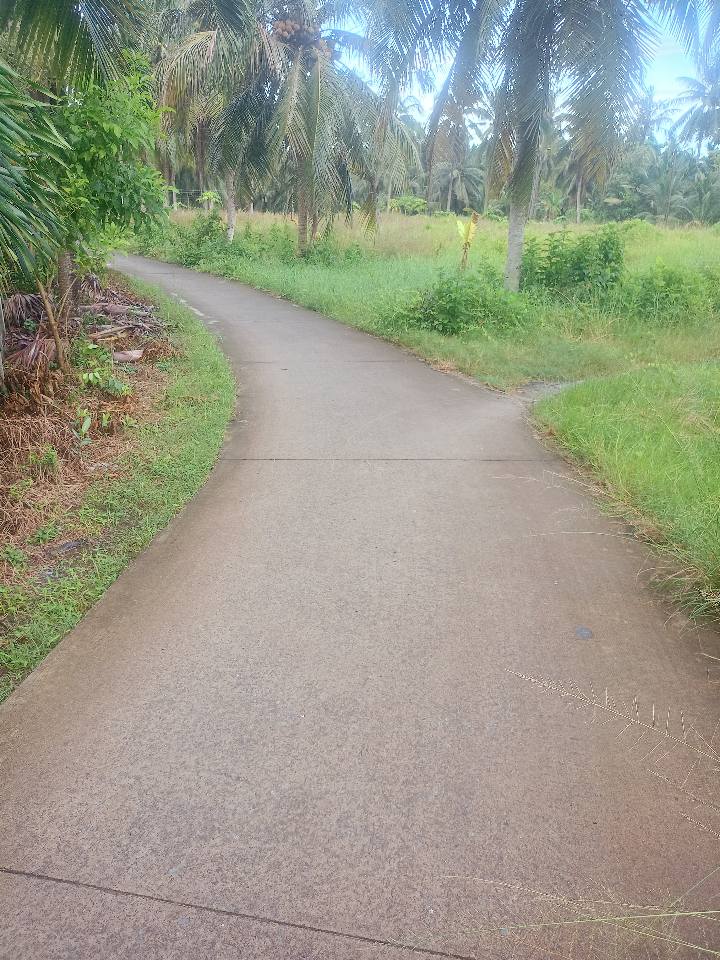 Đất nền Lộc Thuận Bình Đại 629m² giá 460 triệu - Cơ hội đầu tư tuyệt vời!