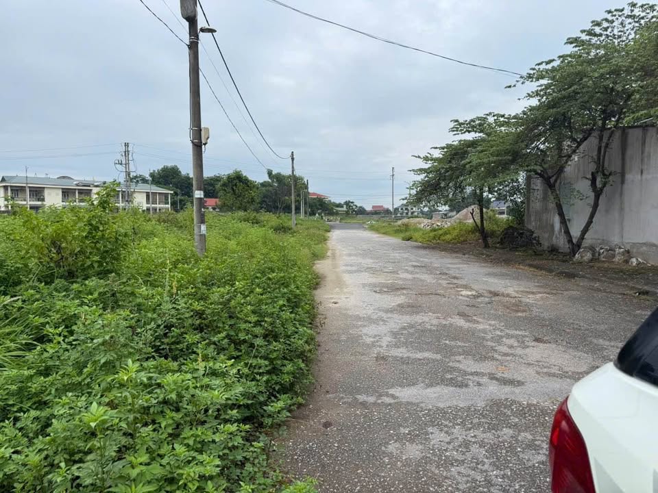 Đất nền TDC Tân Long, phường Tân Hương, 150m² giá 1 tỷ - Cơ hội đầu tư hấp dẫn!