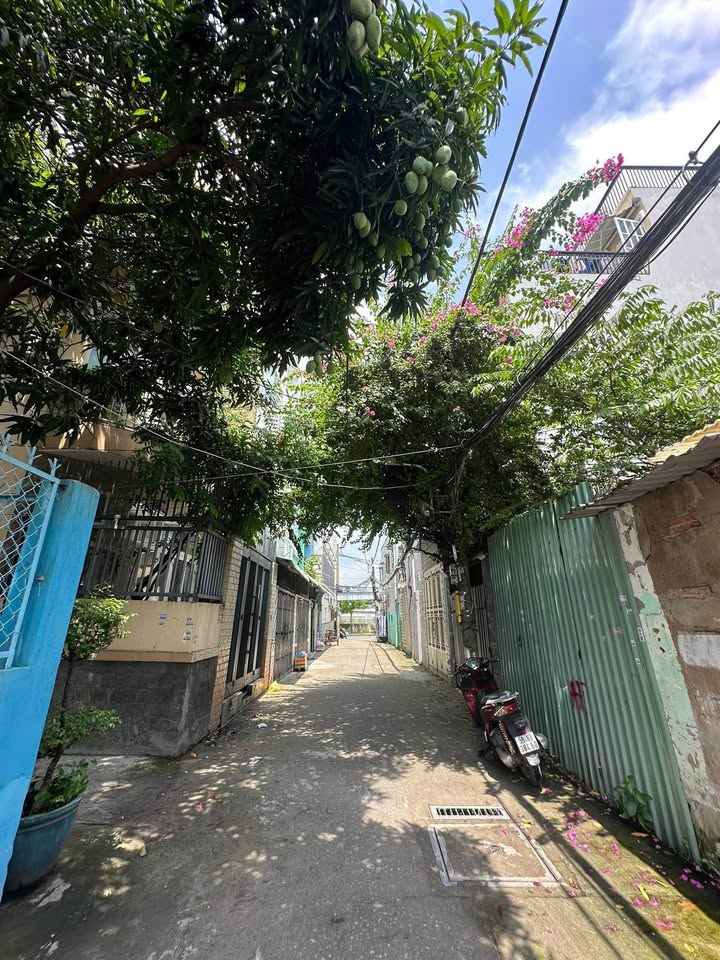 Nhà riêng Bình Đông P15 Q8 60m² giá 4 tỷ - Sẵn sàng vào ở ngay!