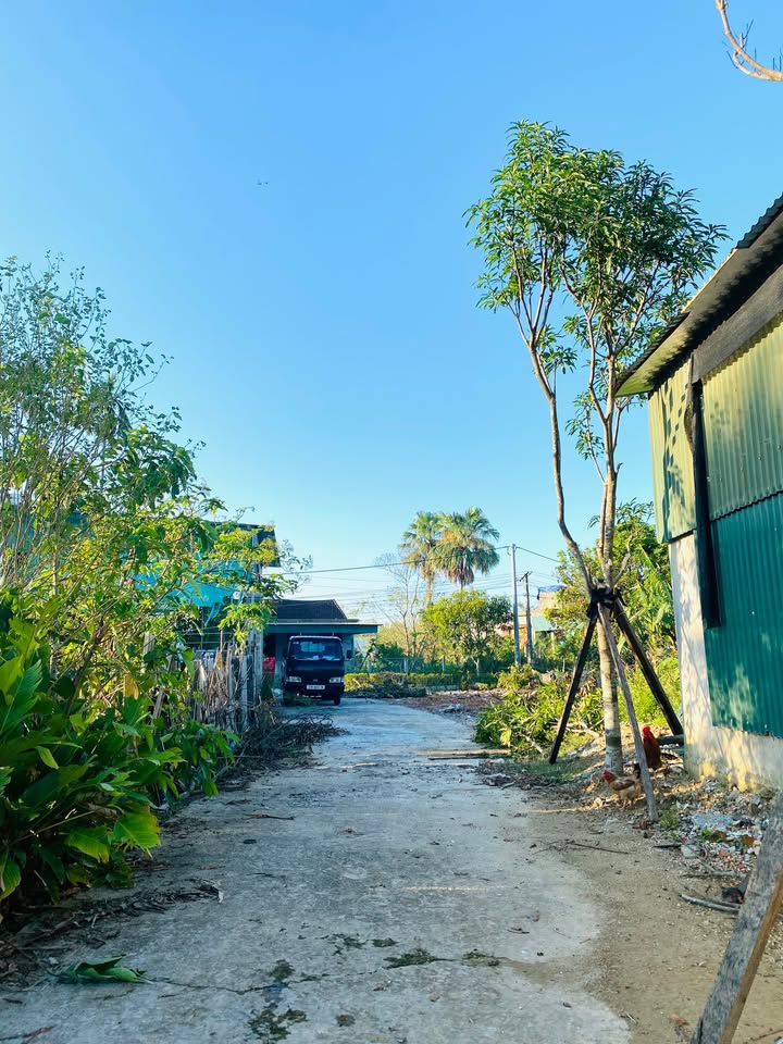 Đất thổ cư 2 mặt tiền thôn Tiến Bộ, Hà Huy Tập 118m² giá chỉ 800 triệu - Đầu tư sinh lời ngay!