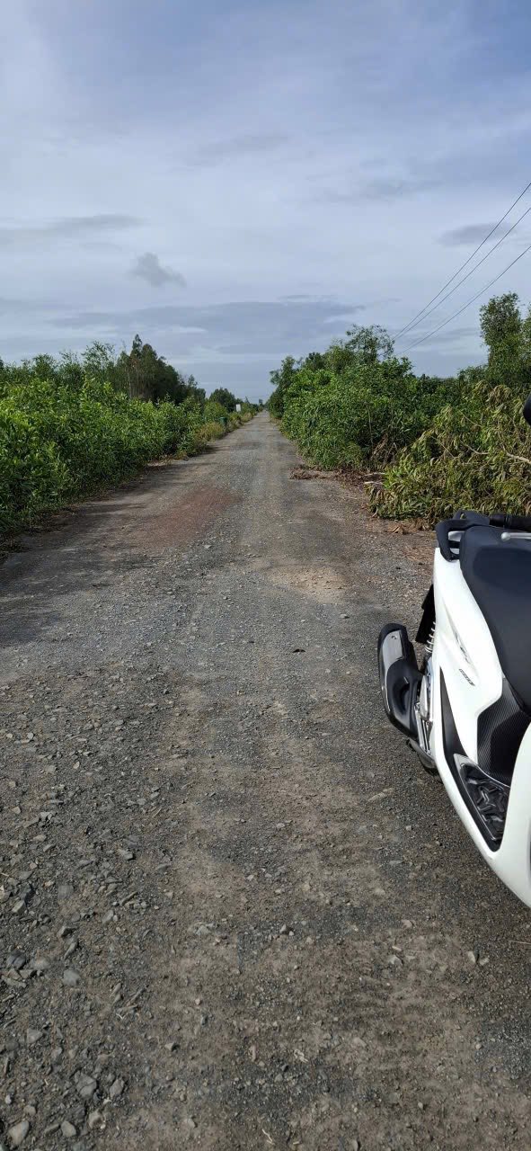 Đất nền Tân Phước Tiền Giang 24000m² giá 6.48 tỷ - Cơ hội đầu tư tuyệt vời!