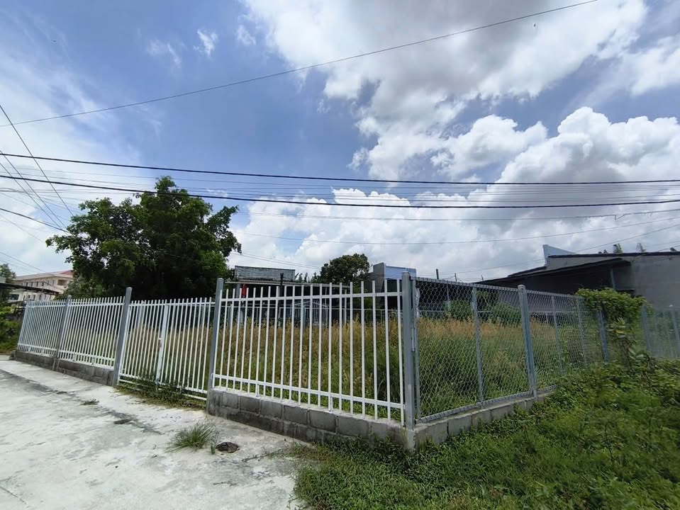 Đất Tân Phước - Lagi 101.6m² giá chỉ 1 tỷ - Đầu tư sinh lời hấp dẫn!