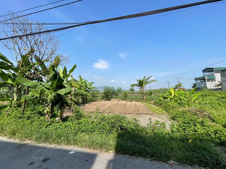 Đất mặt tiền đường Lê Hồng Phong Phủ Lý 50m² giá 1.5 tỷ - Cơ hội đầu tư hiếm có!